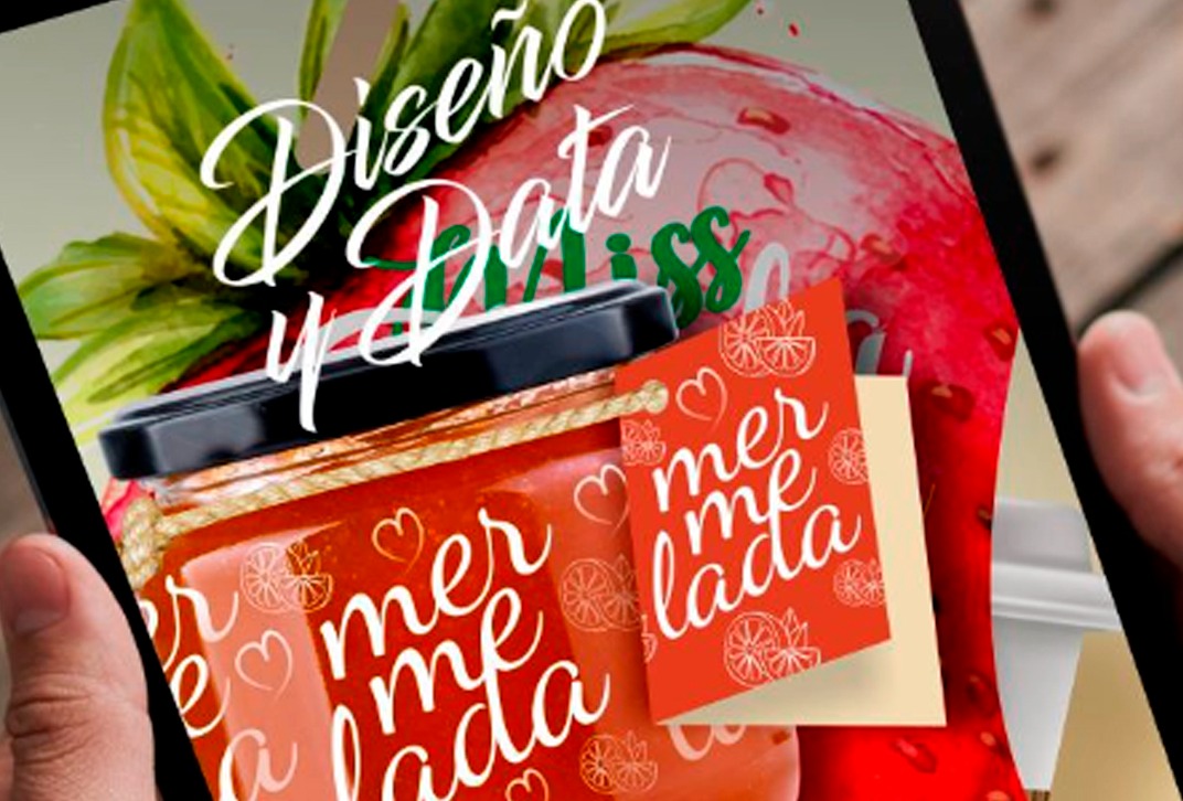 Empresa Diseño & Data